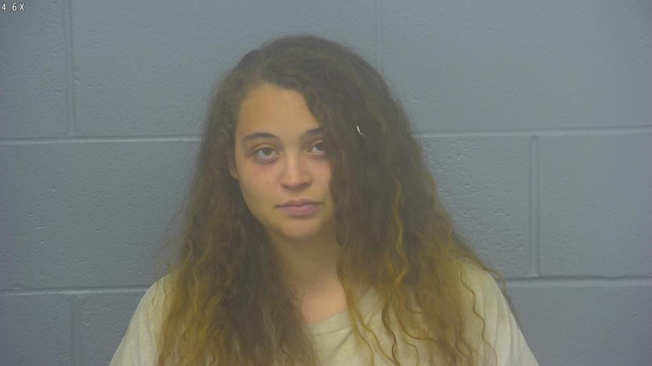 Arrest photo of ALLISSA  HUBER 